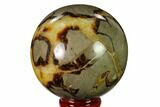 Polished Septarian Sphere - Madagascar #154139-1